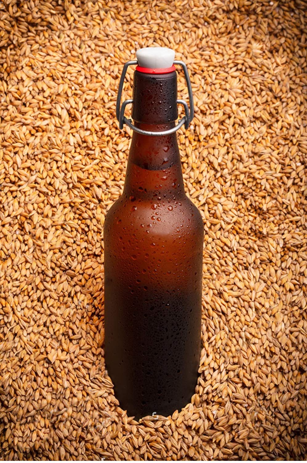 500ml Amber beer glass bottle with Swing lid amber beer bottle for beer factory 375ml
