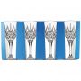 Wine Goblet Glassware Set Decorative Design Suitable for Beer Wine Party